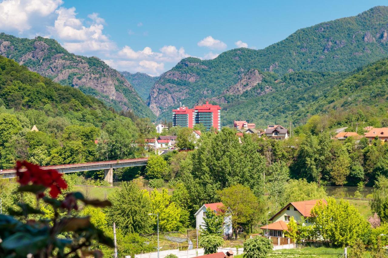 阿瑞子特酒店 Călimăneşti 外观 照片